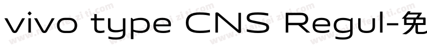 vivo type CNS Regul字体转换